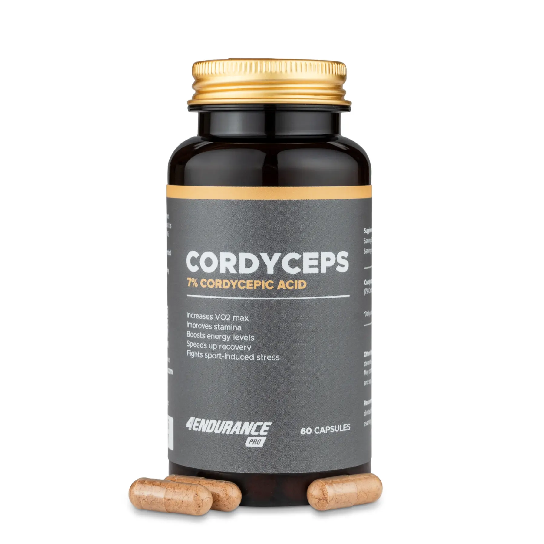 Cordyceps (Puppenkernkeule) - Image 3