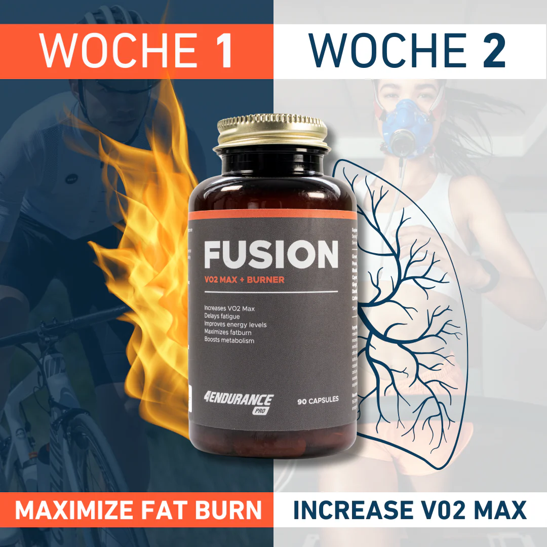Fusion - Image 4